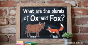 What Are the Plurals of ‘Ox’ and ‘Fox’?