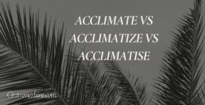 Acclimate vs Acclimatize vs Acclimatise