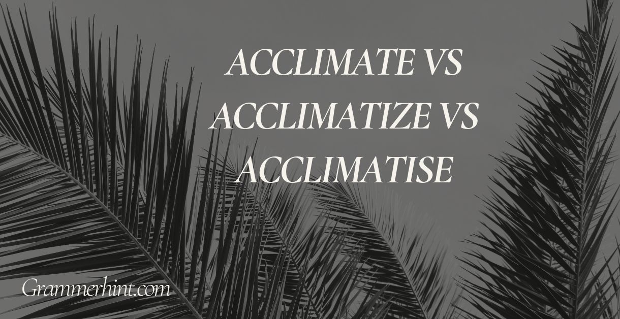 Acclimate vs Acclimatize vs Acclimatise