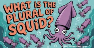 What is the Plural of ‘Squid’? ‘Squid’ or ‘Squids’?
