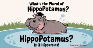 What’s the Plural of Hippopotamus? Is It Hippopotamuses?