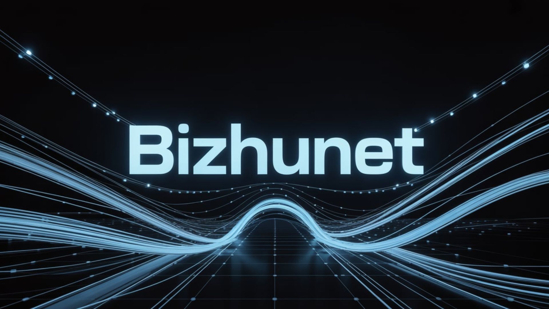 Bizhunet