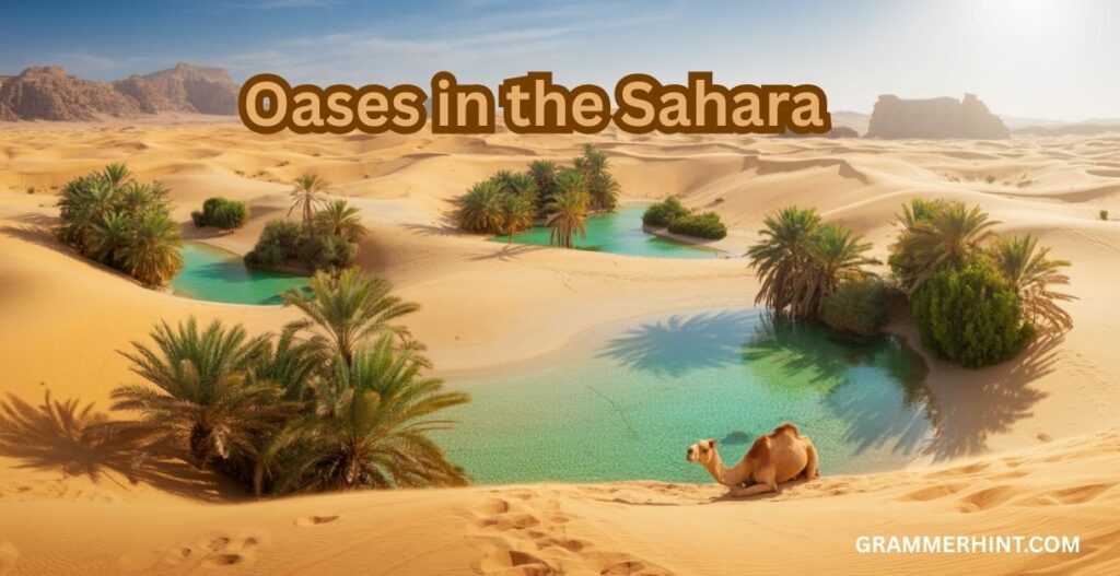 Oases in the Sahara