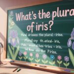 What’s the Plural of Iris? Explaination with Examples