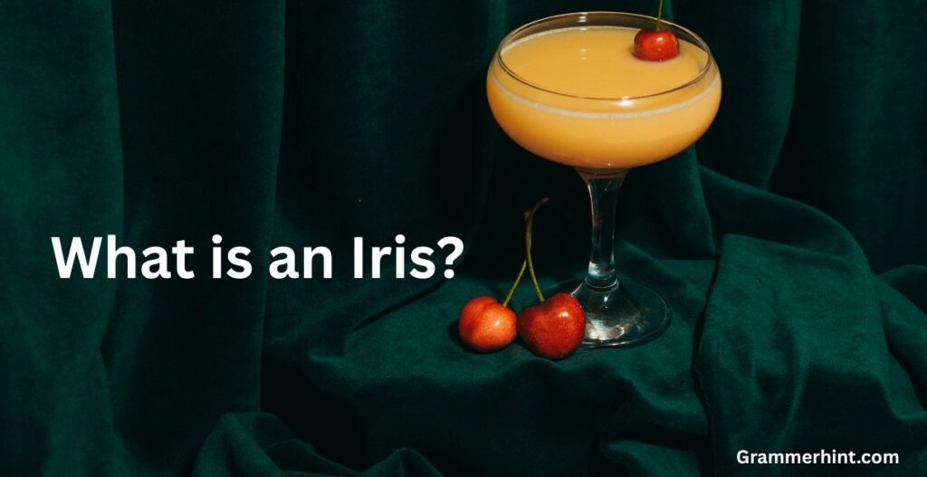 What is an Iris?